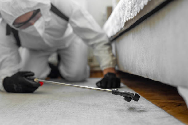 Professional Termite Control technician working in Hancock, MI