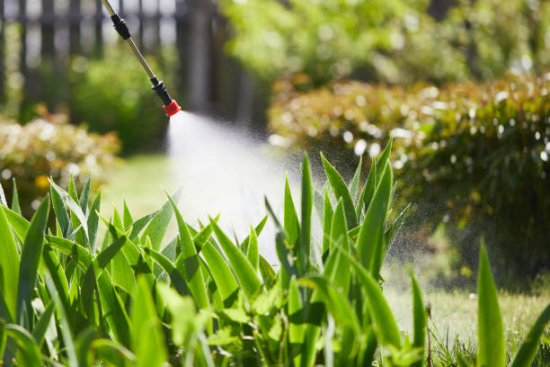24/7 Emergency Termite Control experts in Hancock, MI