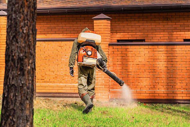 Top rated local Termite Control specialists in Hancock, MI